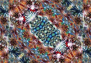 《命运2》开发者展示下周即将发布的异端章节2新内容